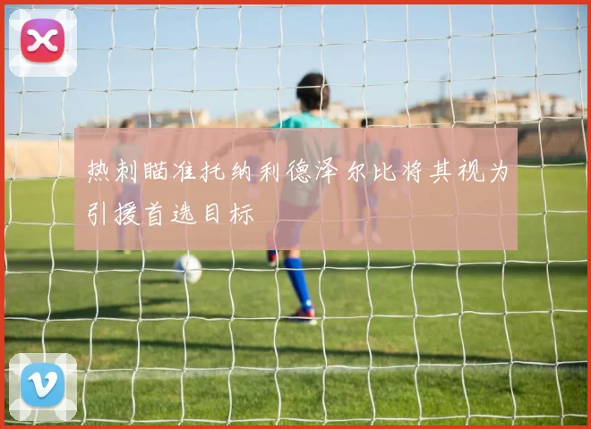 热刺瞄准托纳利德泽尔比将其视为引援首选目标