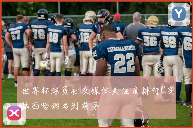 世界杯球员社交媒体关注度排行C罗梅西哈姆名列前茅